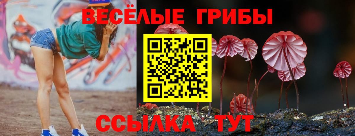 Псилоцибиновые грибы прущие грибы  Вход с VPN  Сертолово 